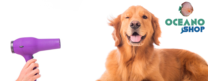 Peluquería para perros
