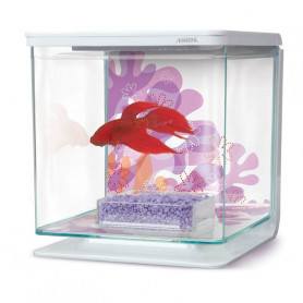 Kit Betta 2 litros MARINA Flower Kit Betta 2 litros MARINA Flower