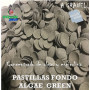 pastillas de fondo acuario algae green espirulina loricaridos coridoras ancistrus peces acuario