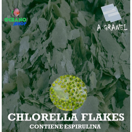 chlorella flakes escamas espirulina acuario marino ciclidos algas