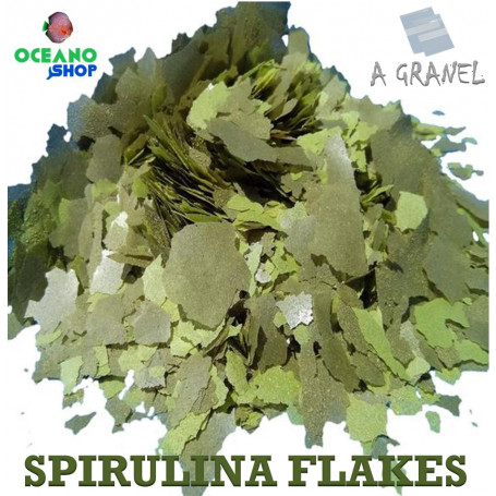 spirulina flakes espirulina escamas acuario herbivoros comida ciclidos peces fondo loricaridos