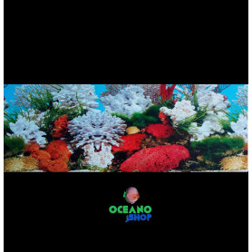 Fondo decorativo 70x30cm Fondo decorativo 70x30cm