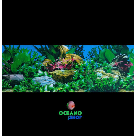 Fondo decorativo 70x30cm