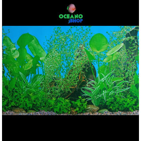 Fondo decorativo 80x50cm Fondo decorativo 80x50cm