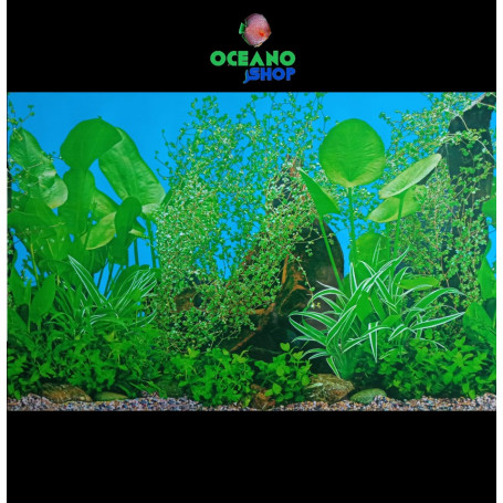 Fondo decorativo 80x50cm