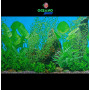 Fondo decorativo 80x50cm