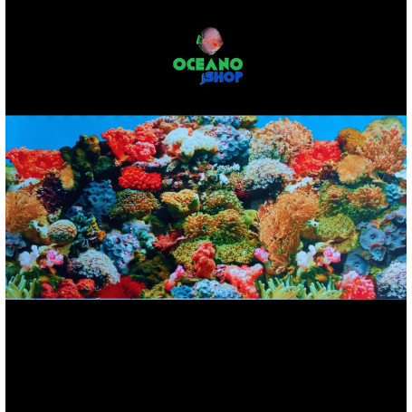 Fondo decorativo 70x30cm