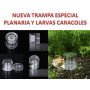 Trampa natural especial Planaria crias caracol pecera caracoles acuario gambario
