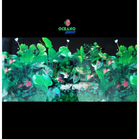 Fondo decorativo 80x60cm Fondo decorativo 80x60cm D717 pecera acuario