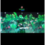 Fondo decorativo 80x60cm D717 pecera acuario