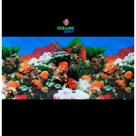 Fondo decorativo 80x60cm D716 pecera acuario