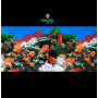 Fondo decorativo 80x60cm D716 pecera acuario
