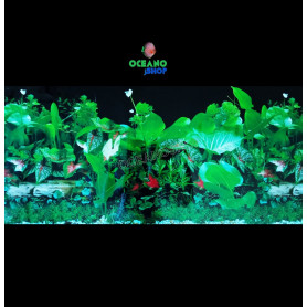 Fondo decorativo 80x40cm Fondo decorativo 80x40cm d723 acuario pecera