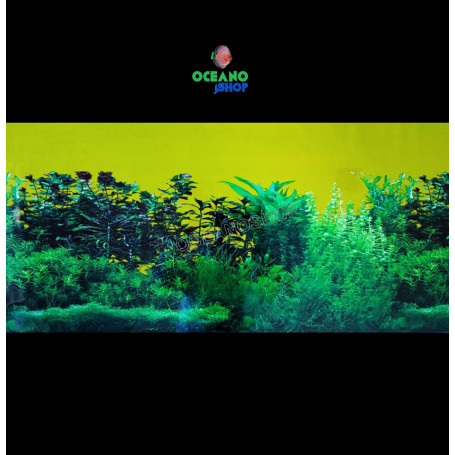 Fondo decorativo 80x40cm d721 acuario pecera