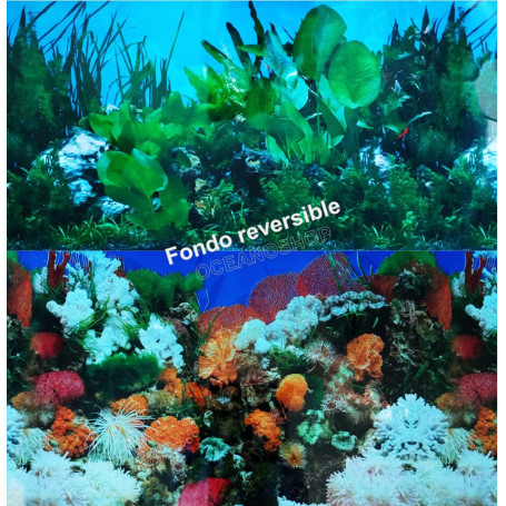 Fondo decorativo doble 80x40cm D722 ACUARIO PECERA