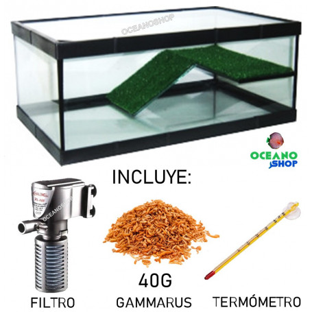 KIT TORTUGUERA con rampa 40x25x16cm incluye filtro comida y termométro