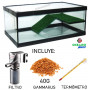 KIT TORTUGUERA con rampa 50x26x20cm incluye filtro comida y termométro