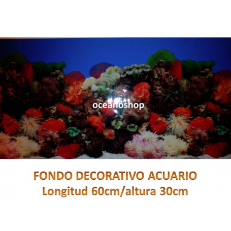 Fondo decorativo acuario 60x30cm