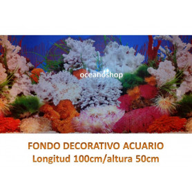 Fondo decorativo 100x50cm Fondo decorativo 100x50cm