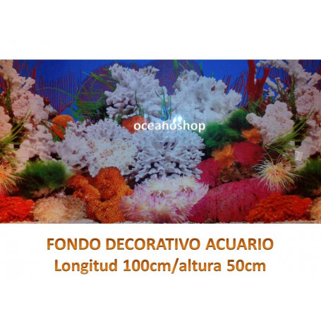 Fondo decorativo 100x50cm