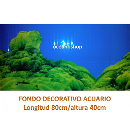 Fondo decorativo acuario 80x40cm