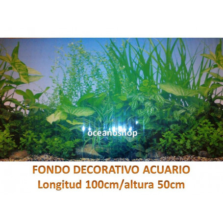 Fondo decorativo 100x50cm