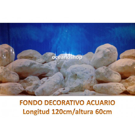 Fondo decorativo ciclidos africa 120x60cm