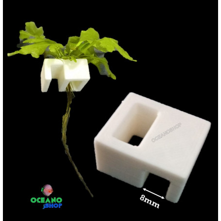 Clip hidroponia poto 10mm acuario cultivo plantas cristal