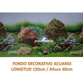 Fondo decorativo paisaje acuatico 120x60cm Fondo decorativo paisaje acuatico 120x60cm