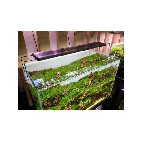 Twinstar serie B 60B W-RGB 60-75cm