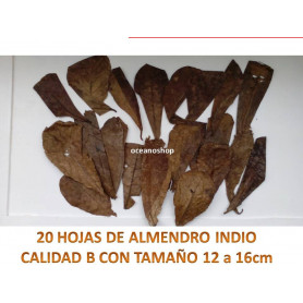 20 Hojas de almendro indio CALIDAD B 20 Hojas de almendro indio CALIDAD B