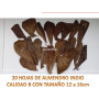 20 Hojas de almendro indio CALIDAD B