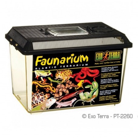 FAUNARIUM EXOTERRA MEDIANO