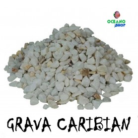 Grava caribian 1kg Grava caribian 1kg