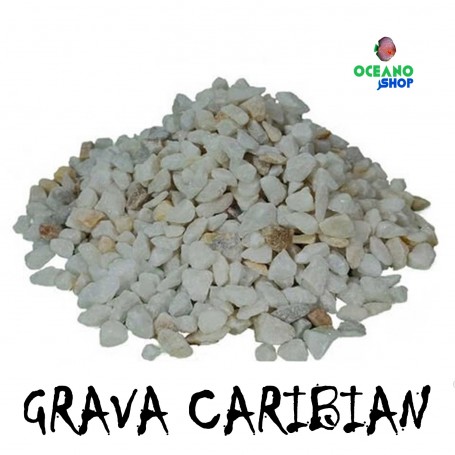 Grava caribian 5kg