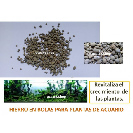 Abono HIERRO para plantas 80gr