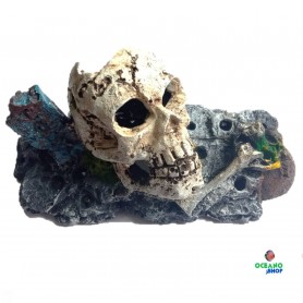 Figura calavera Figura calavera  acuario pecera
