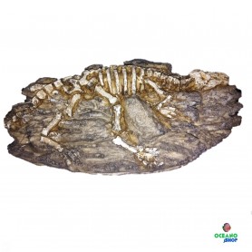 Figura esqueleto dinosaurio Figura esqueleto dinosaurio