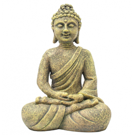 buda acuario decoracion