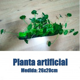 Planta hydrocotyle artificial Planta hydrocotyle artificial