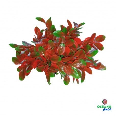 Planta bicolor artificial