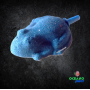 Rana difusor acuario oxigeno acuario pecera aire oxigenador compresor