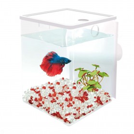 BETAWORLD Cube (ampliación) (1.5 l) BETAWORLD Cube (iniciación) (1.5 l)