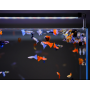 Twinstar Light SERIE B II pantalla plantado plantas acuario