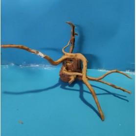Nº11 TRONCO raiz ROOTSUNK para ACUARIO