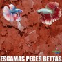 BETTA FLAKES PLUS A GRANEL BARATO ESCAMAS BETTAS COMIDA ALIMENTO