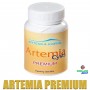 Koral Artemia Premium 50G +95% Eclosion