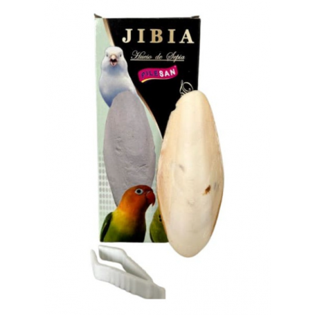Hueso De Jibia + Portajibia hueso sepia pajaros