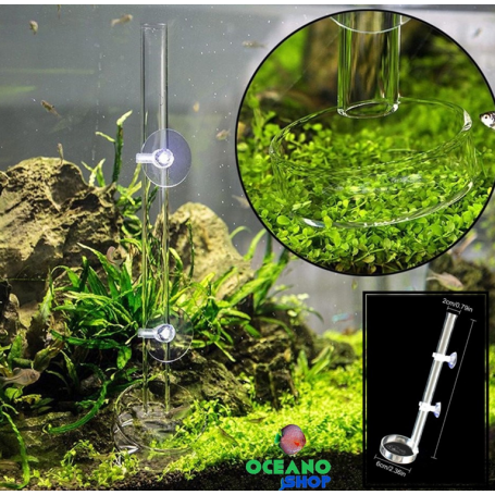 Tubo 20 cm con plato para gambas