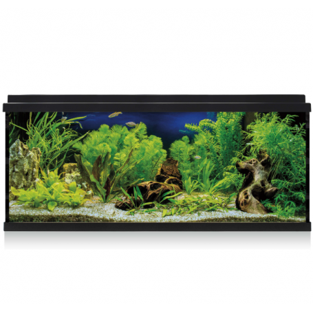 Kit AQUA LED 100 negro – Acuario completo 100 L con filtro y luz LED